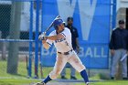 Baseball vs Suffolk  Wheaton College Baseball vs Suffolk University. - (Photo by Keith Nordstrom) : Wheaton, baseball